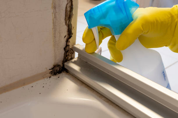 Attic Mold Removal in Krebs, OK