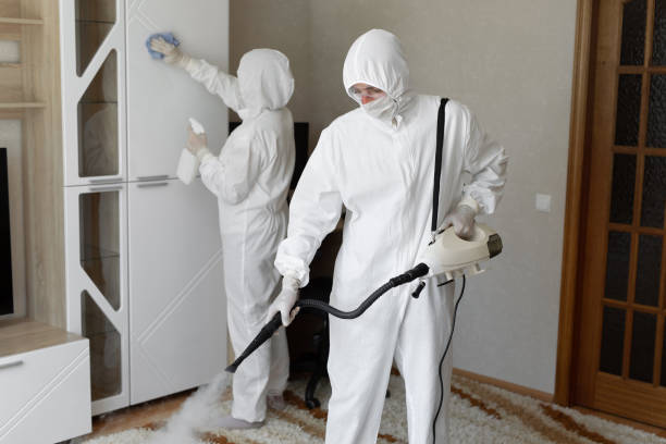 Best Mold Inspection  in Krebs, OK