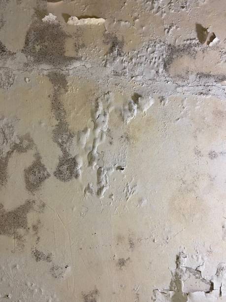 Best Water Damage Restoration  in Krebs, OK