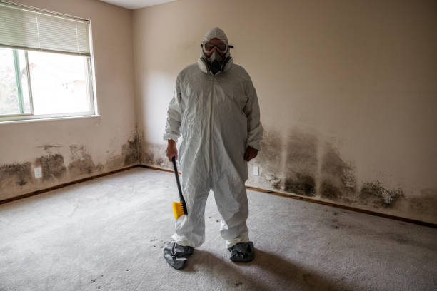 Best Home Mold Removal  in Krebs, OK